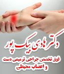 دکتر هادی بیک پور در تهران