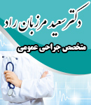 دکتر سعید مرزبان راد در تهران