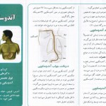 دکتر علی زرگر در قزوین