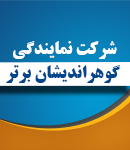 شرکت نمایندگی گوهراندیشان برتر در تهران