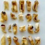 دکتر رودابه طالبی در تهران