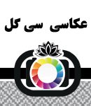 عکس و تصویر سی گل
