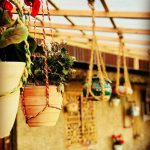 کباب مادر پسر در رشت