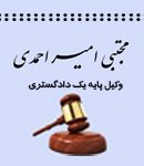 مجتبی امیر احمدی