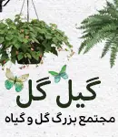 مجتمع گل و گیاه گیل گل در رشت