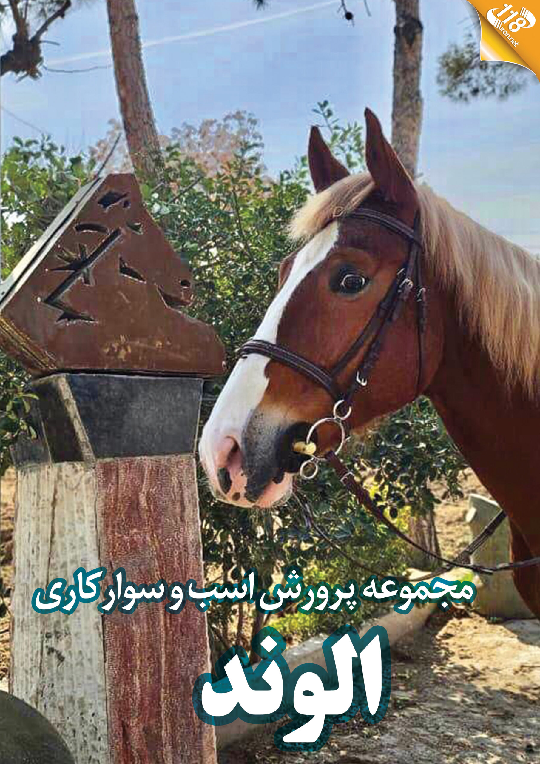 مجموعه پرورش اسب و سوارکاری الوند