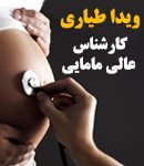 ویدا طیاری در بابل
