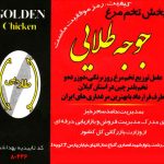 پخش تخم مرغ جوجه طلایی