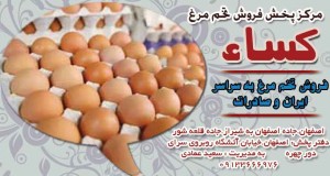 مرکز پخش فروش تخم مرغ کساء در اصفهان