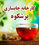 کارخانه چایسازی پرشکوه در لنگرود