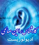 کارشناس رامین صالحی در تهران