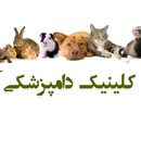 کلینیک دامپزشکی آراد در مشهد
