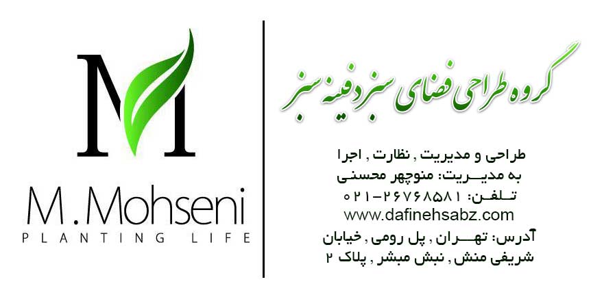 گروه طراحی دفینه سبز در تهران