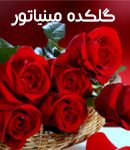 گلکده مینیاتور در لنگرود